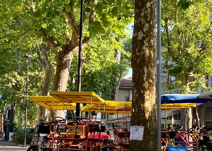 فندق Franca
