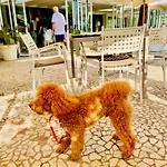 Hotel Hotel Franca 3*